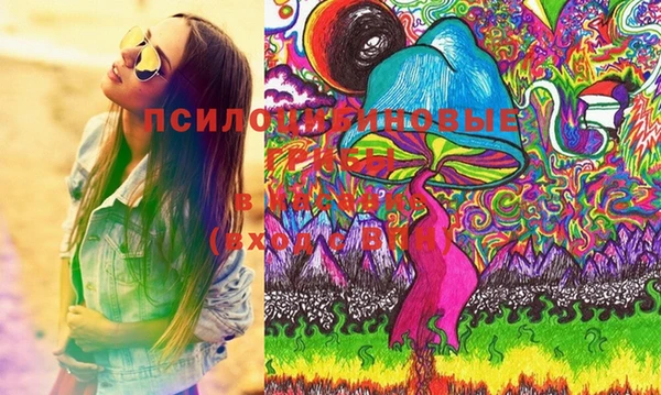 марки nbome Пересвет