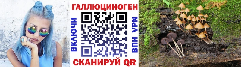 Галлюциногенные грибы прущие грибы  Ивдель 